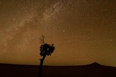 Je me sens si seul devant cette immensité !