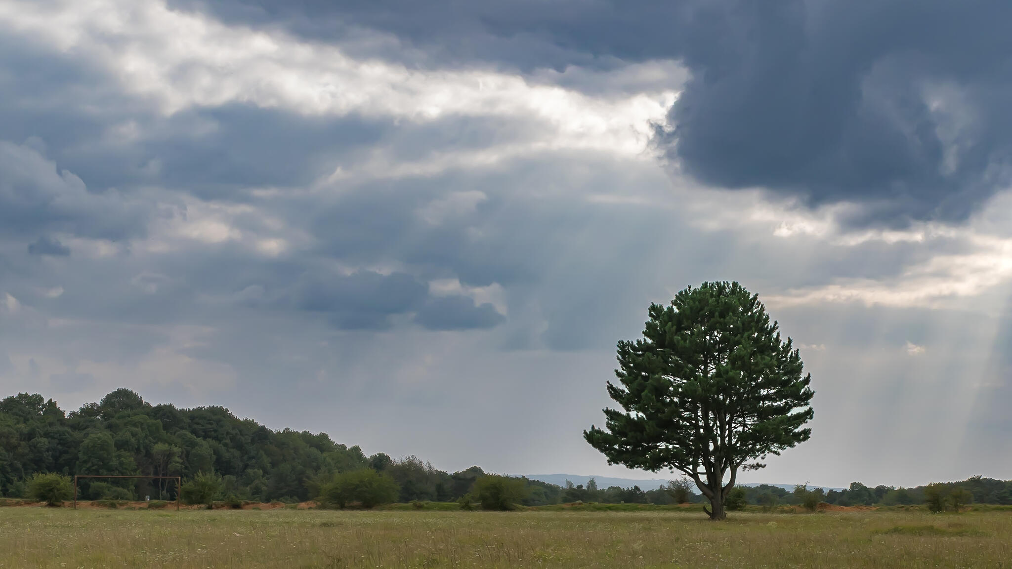 Ils sont où mes copains ?