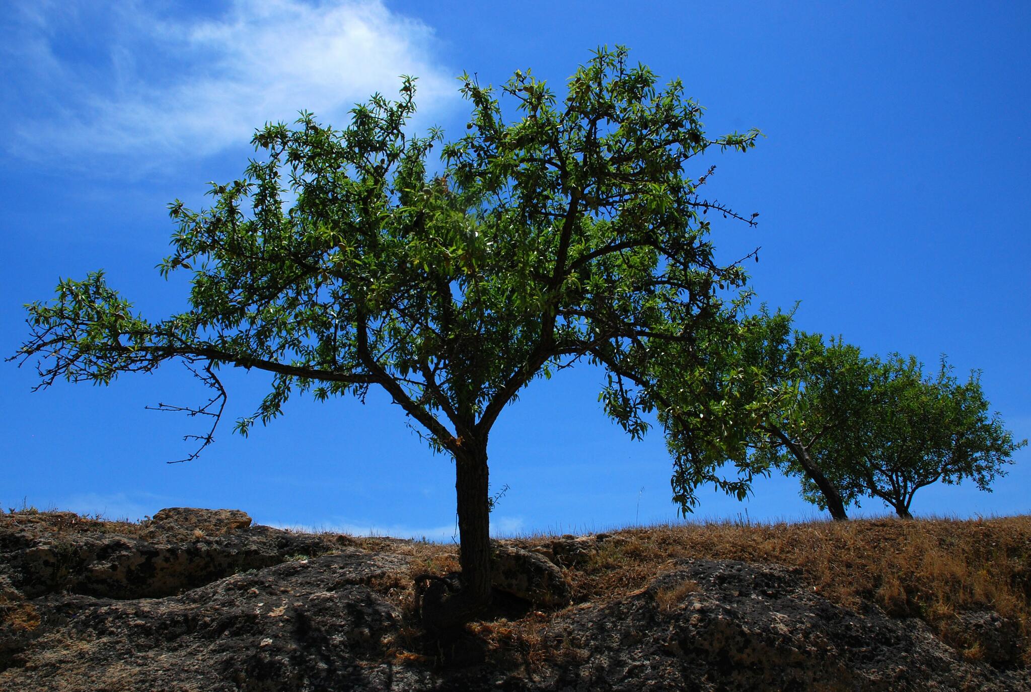 Cachez-vous les enfants...sinon ma photo sera hors sujet ;-)