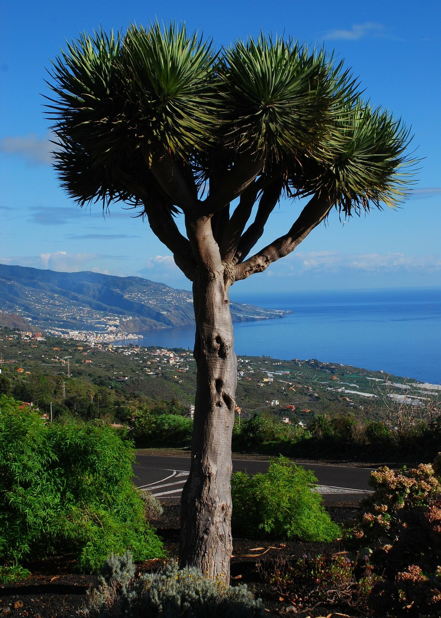 Qui s'y frotte, s'y pique !