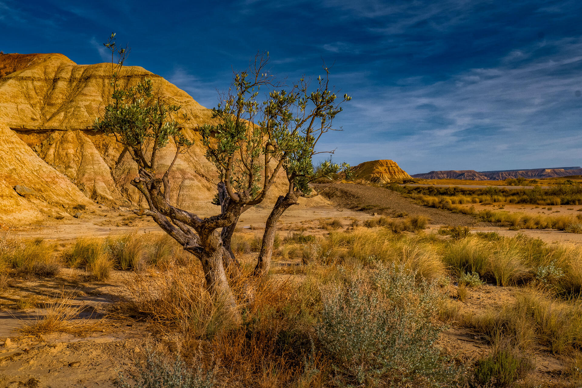 Quand t'es dans le désert