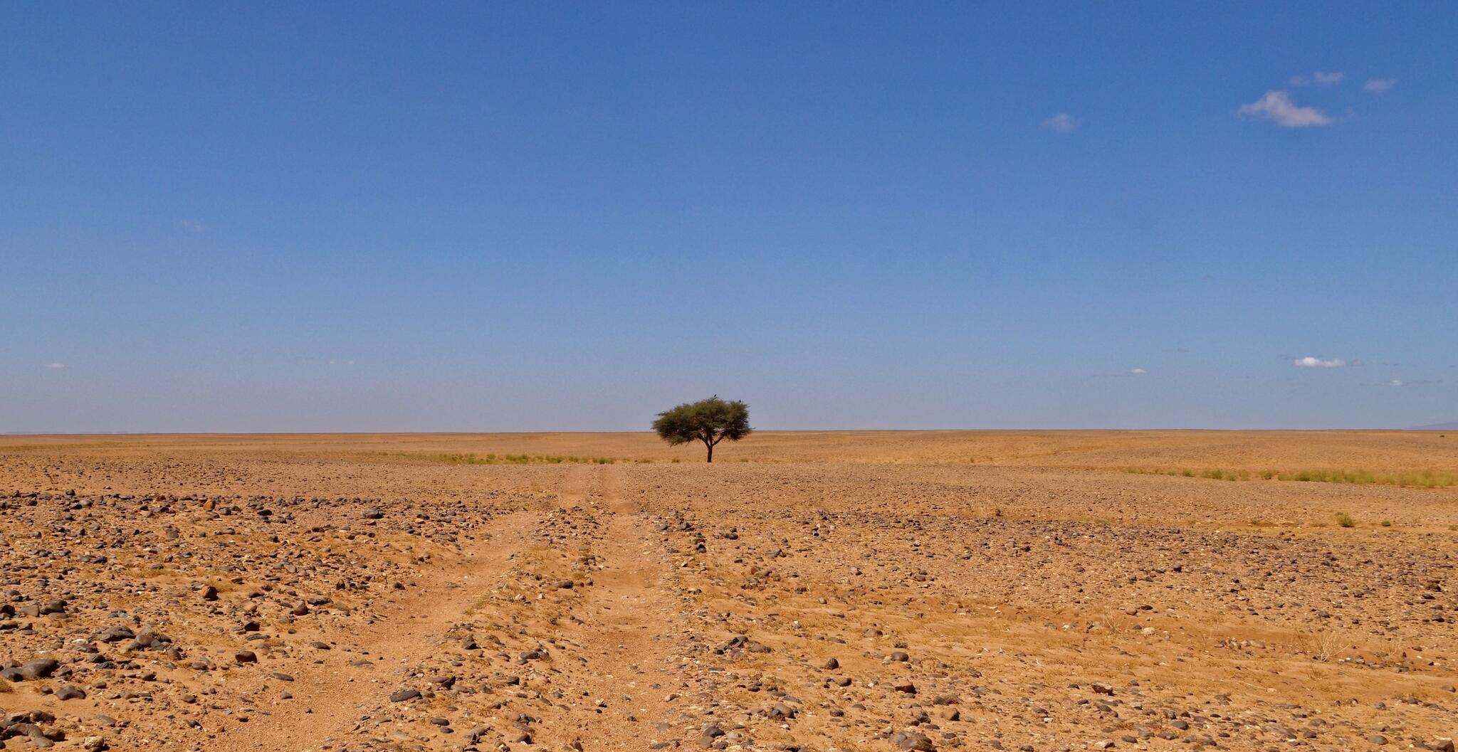 C'est encore loin la mer ?