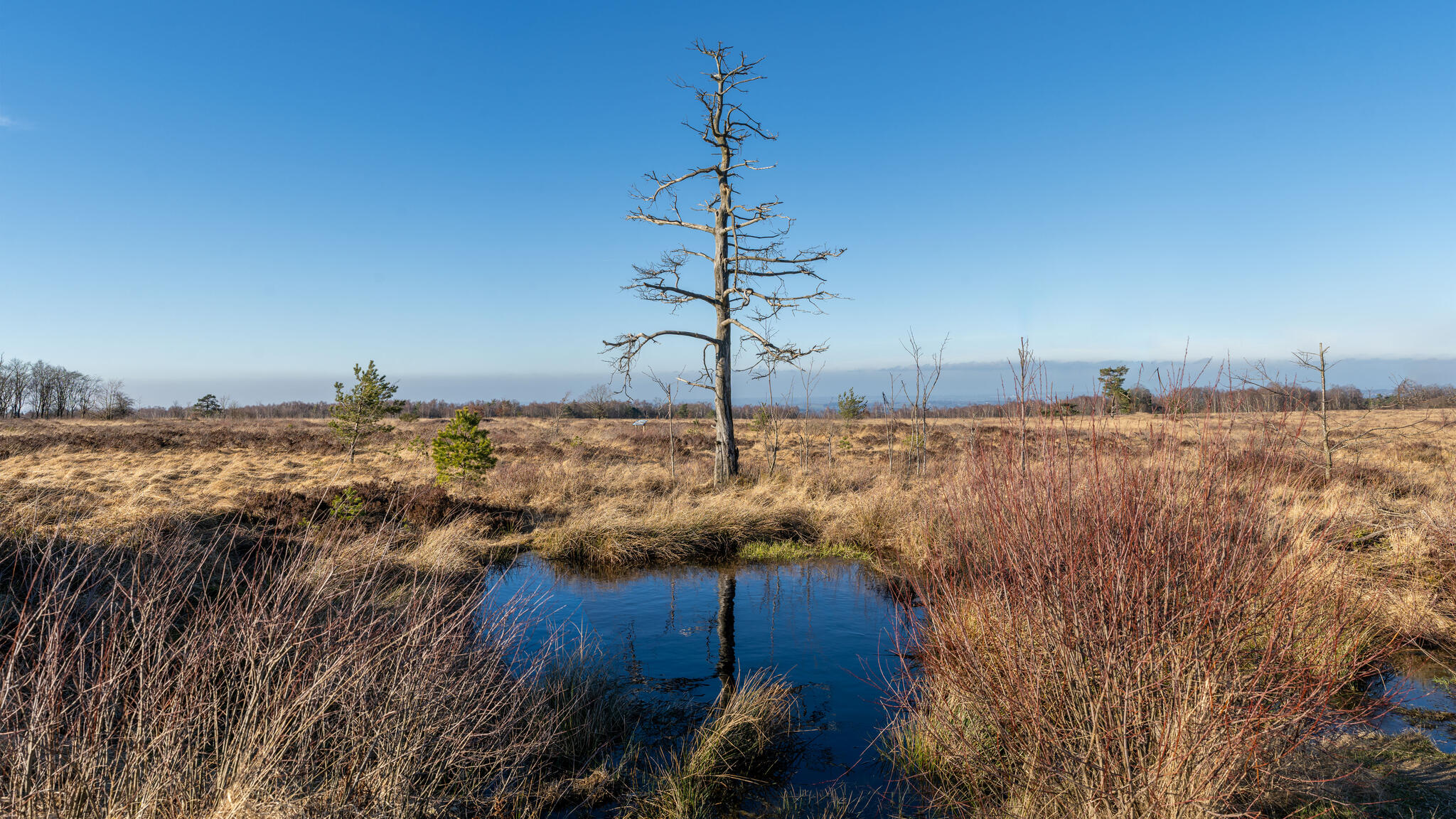L'eau n'a pas suffit