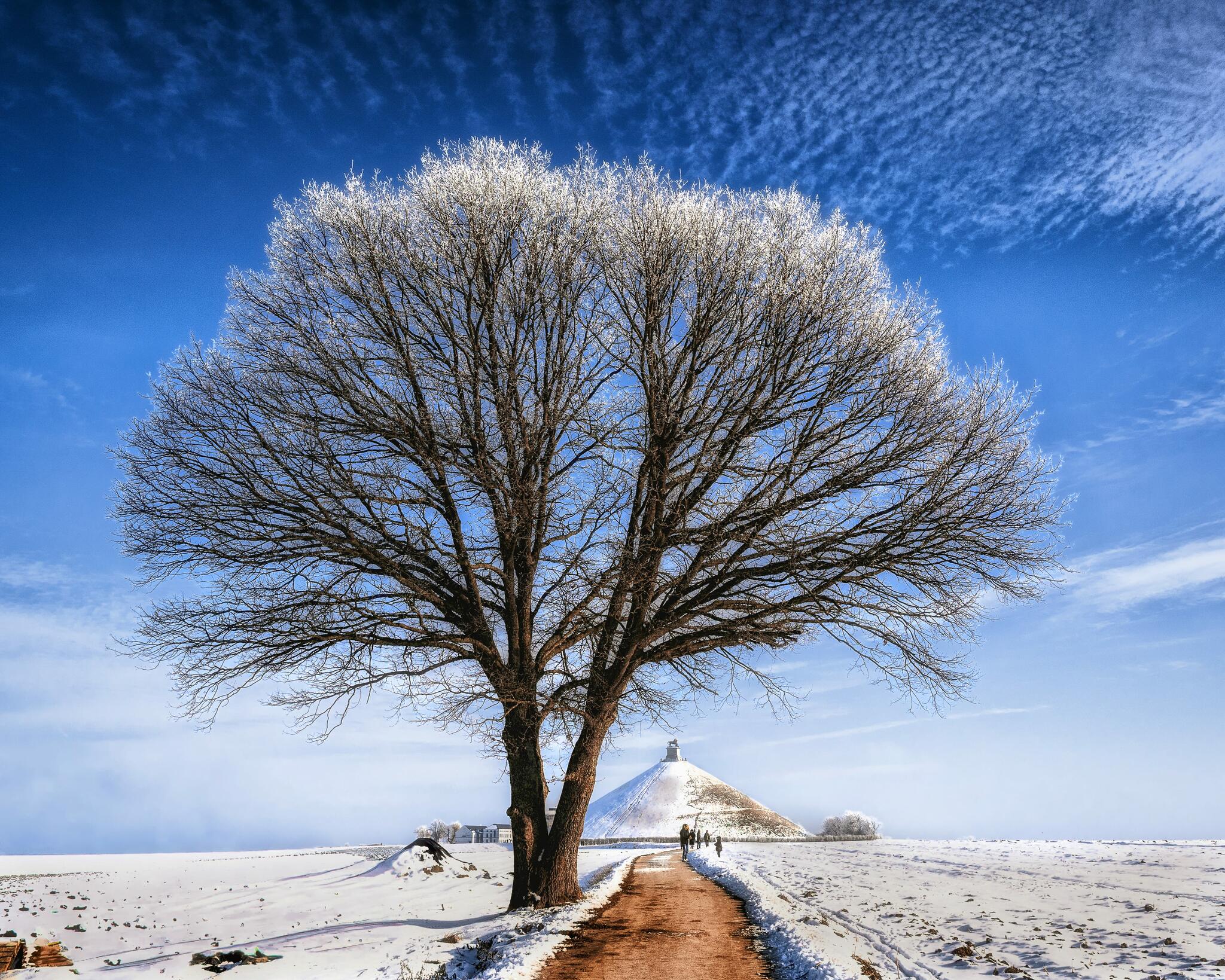 En mémoire de la bataille de Waterloo