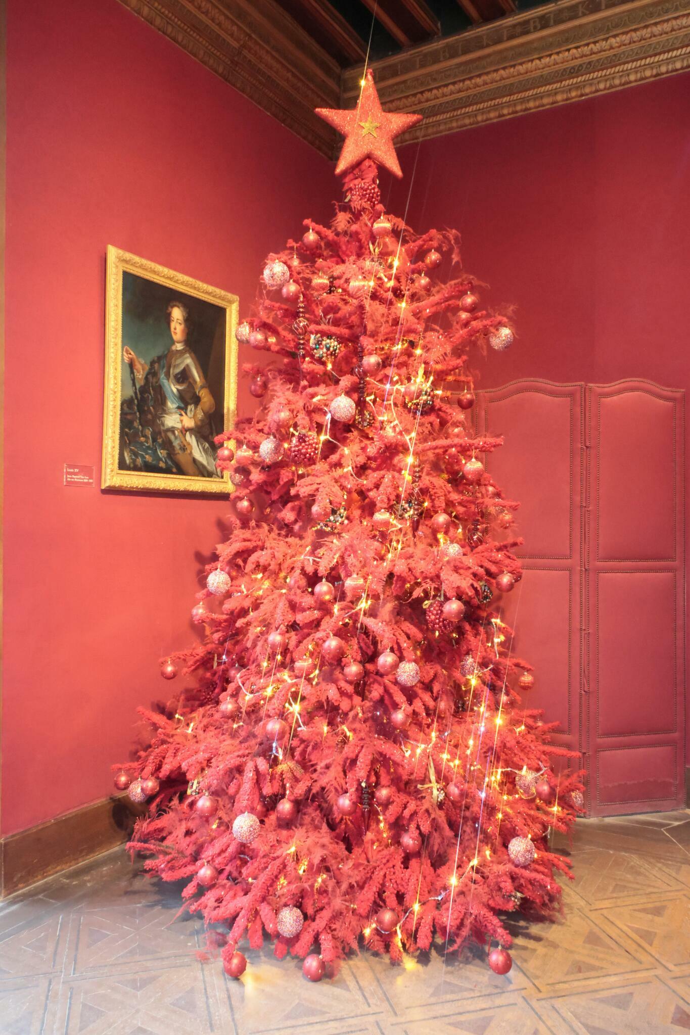 Seul, rouge de honte, face au Roi