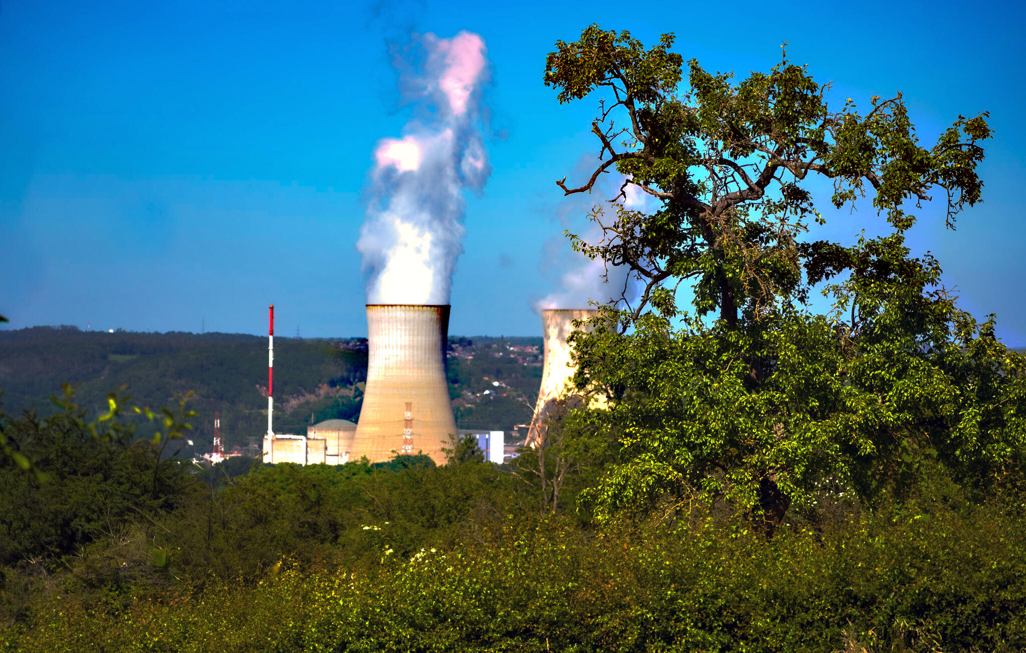 Un vieux fruitier...