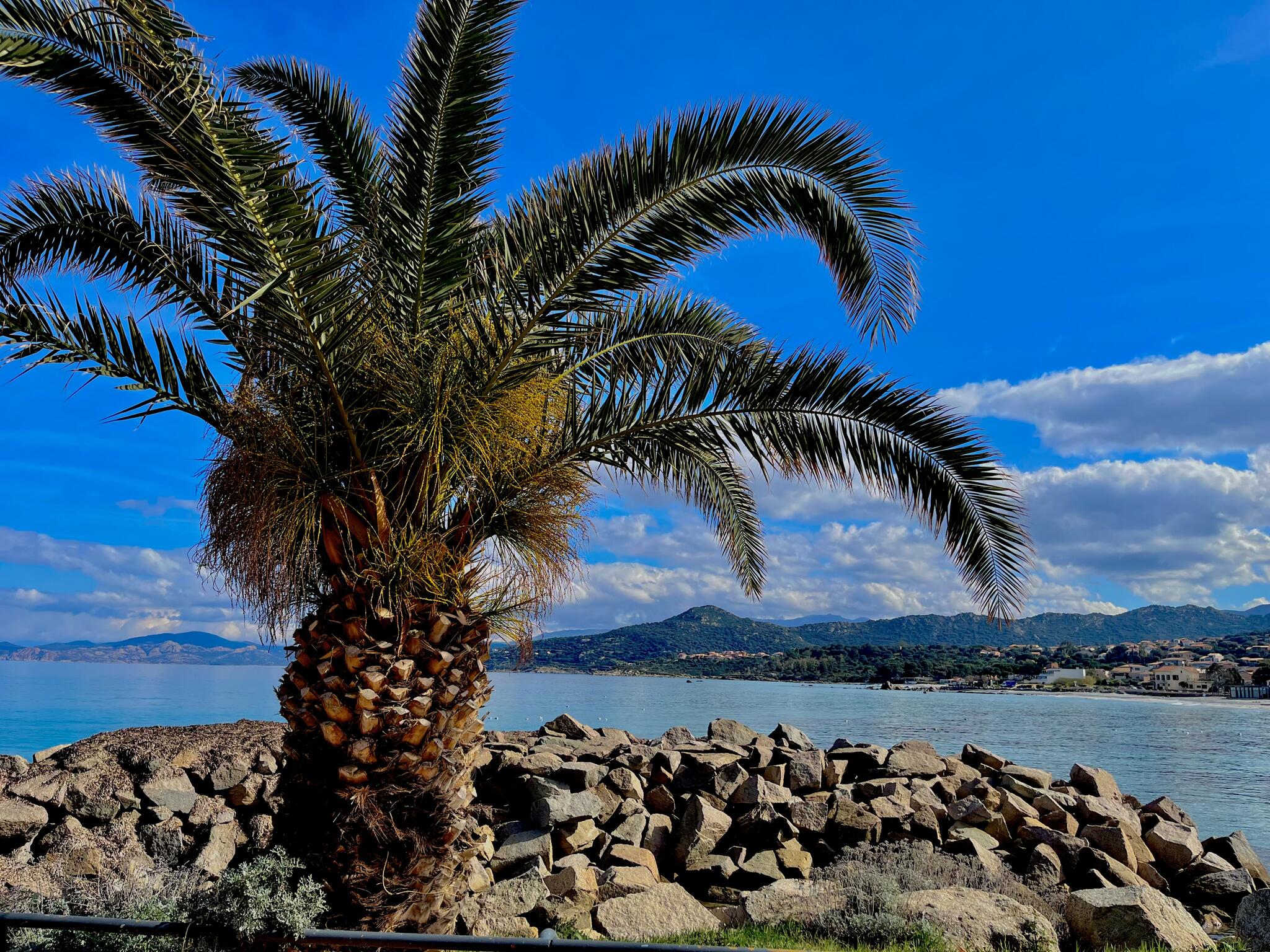 Le gardien de la baie. « Île Rousse »