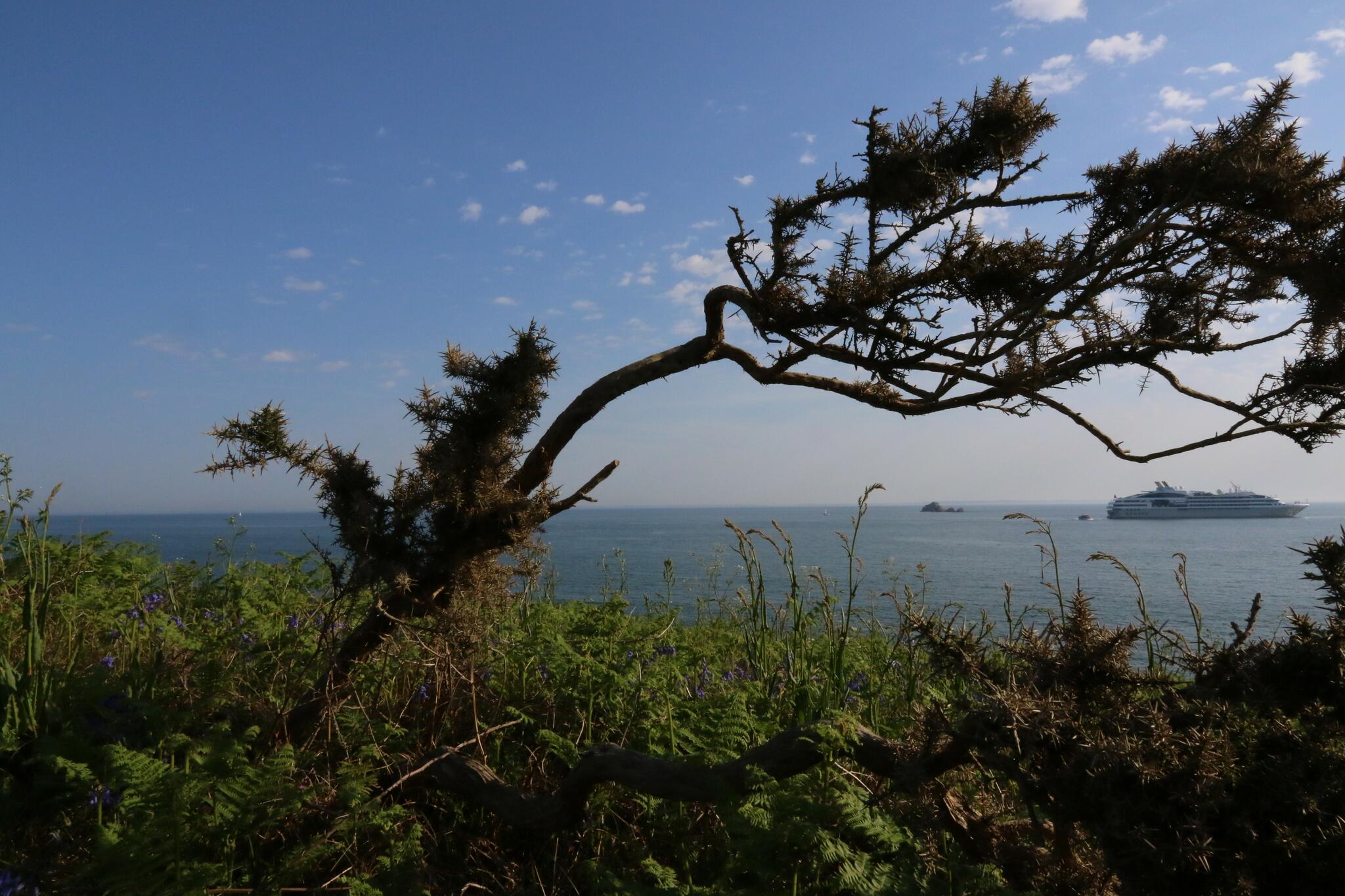 Le poids du vent (Saint-Nicolas, île du Glénan)