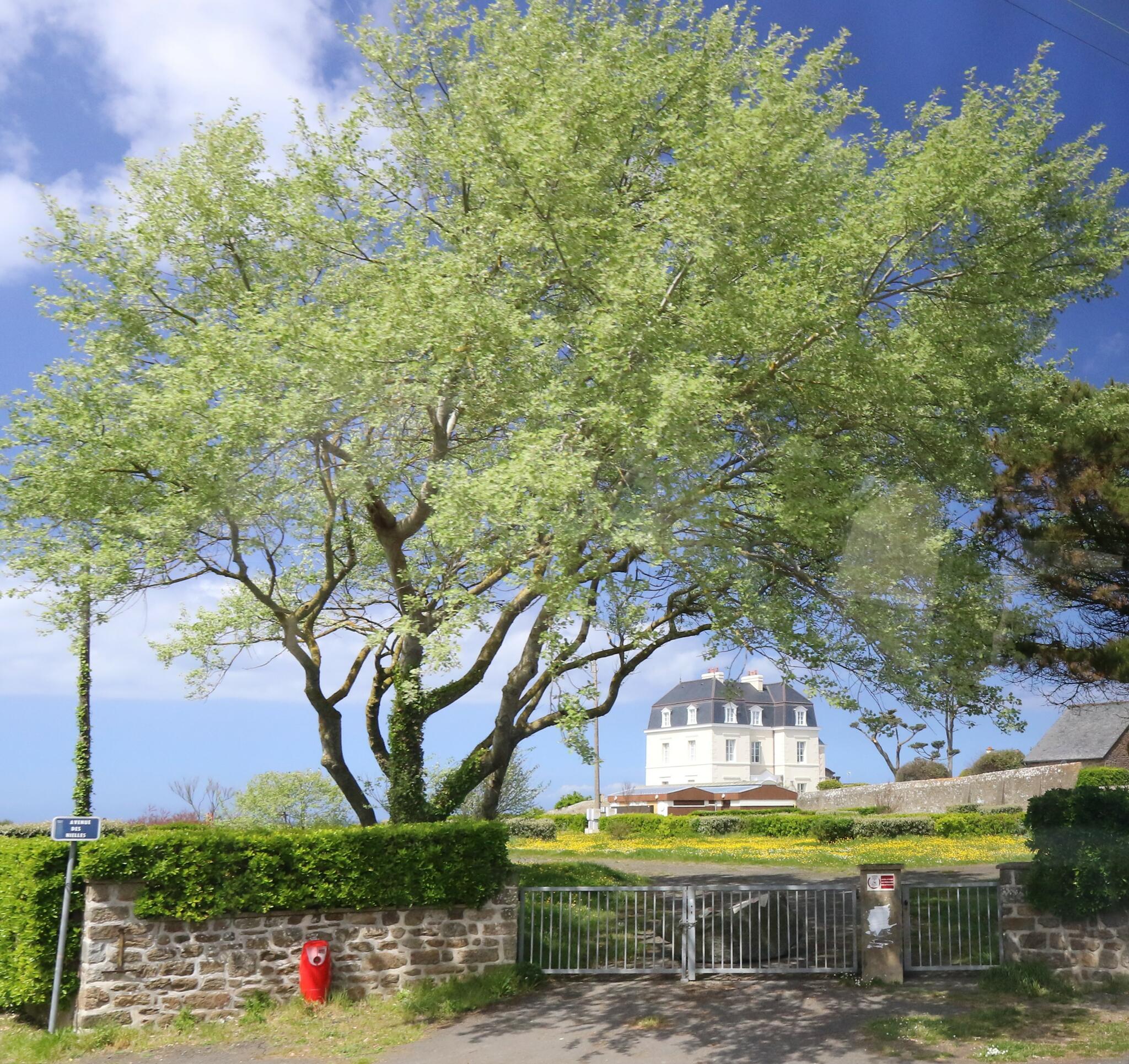 Avenue des Nielles (Saint-Malo)
