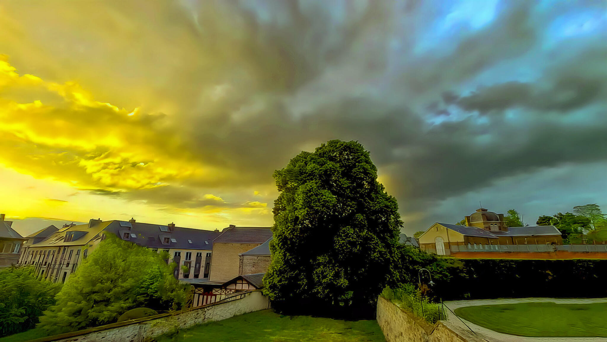 Tilleul à la tombée du jour...