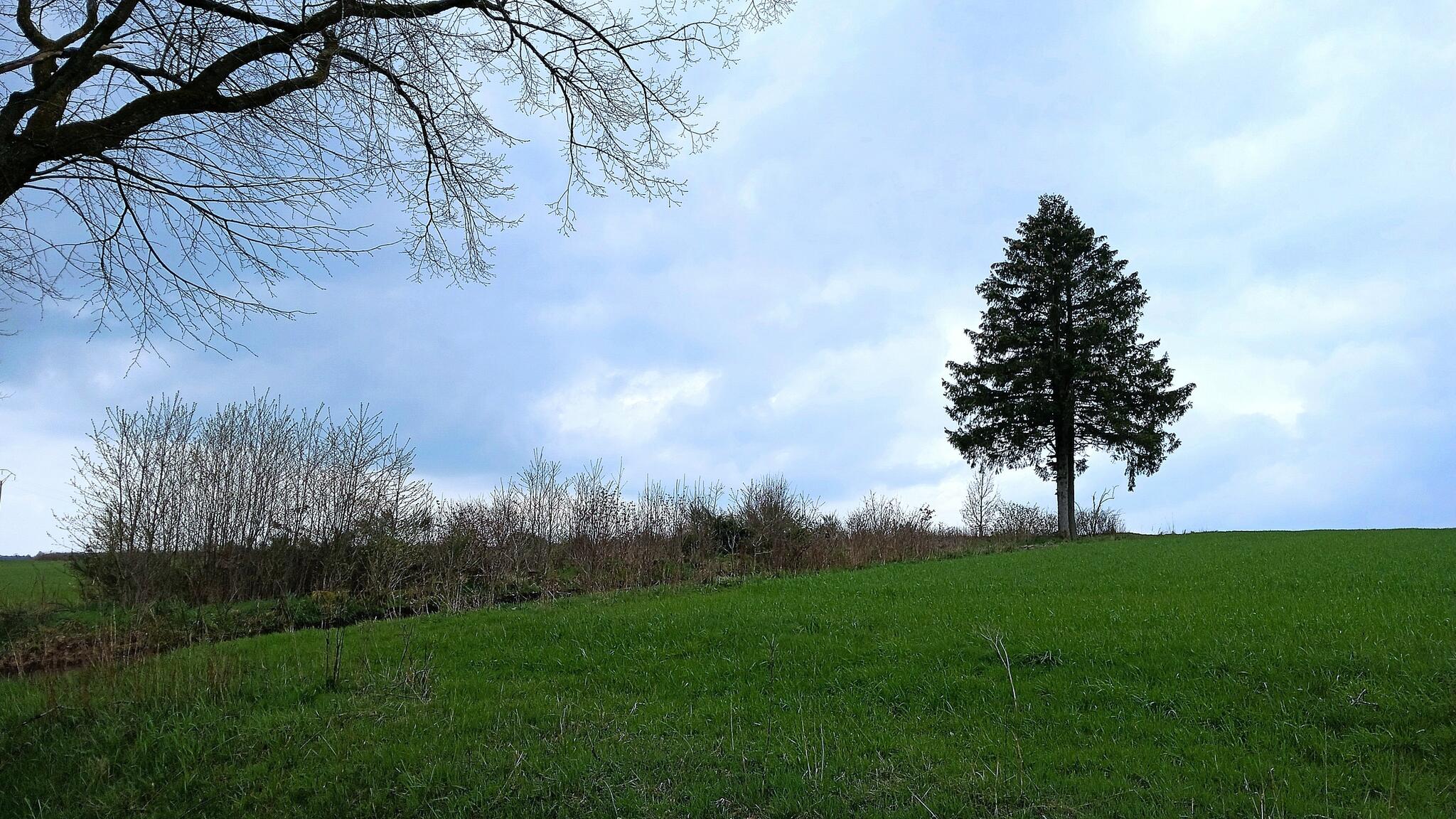 Sur la voie des planètes