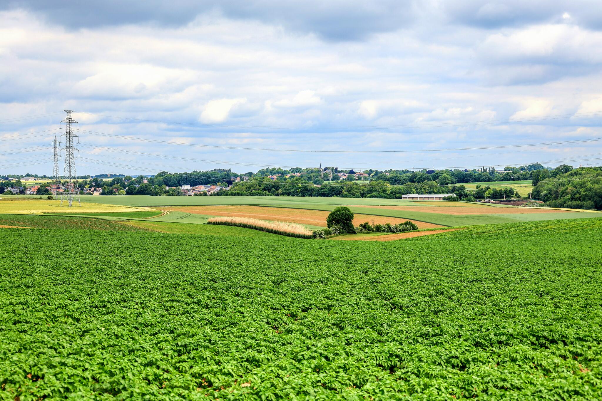 Au cœur de la nature