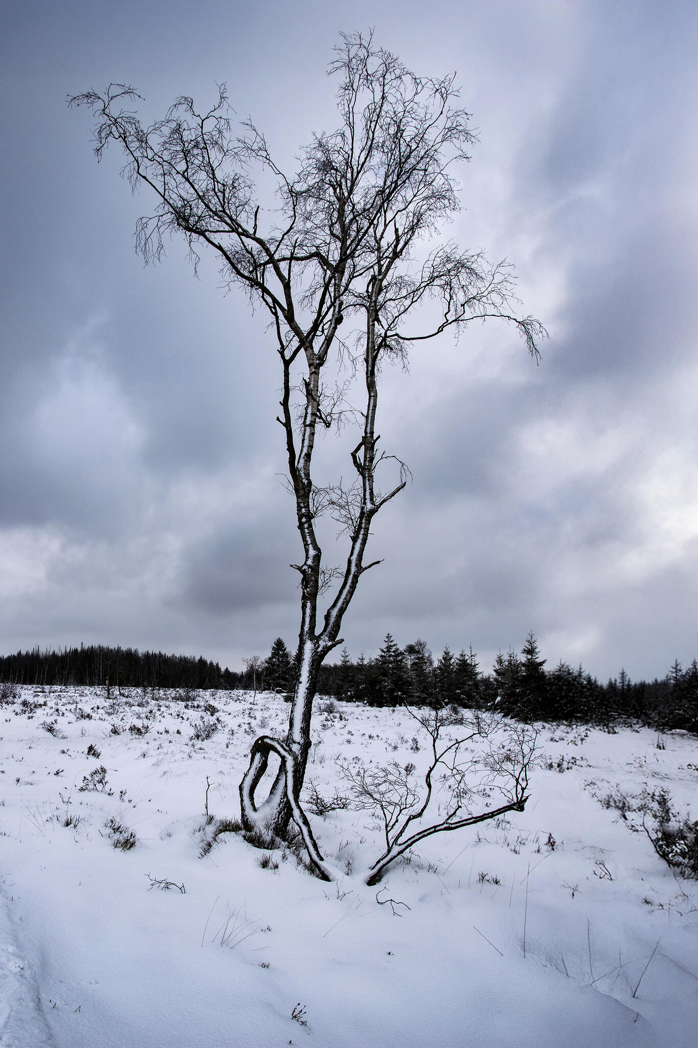 Sur les hauteurs de Spa