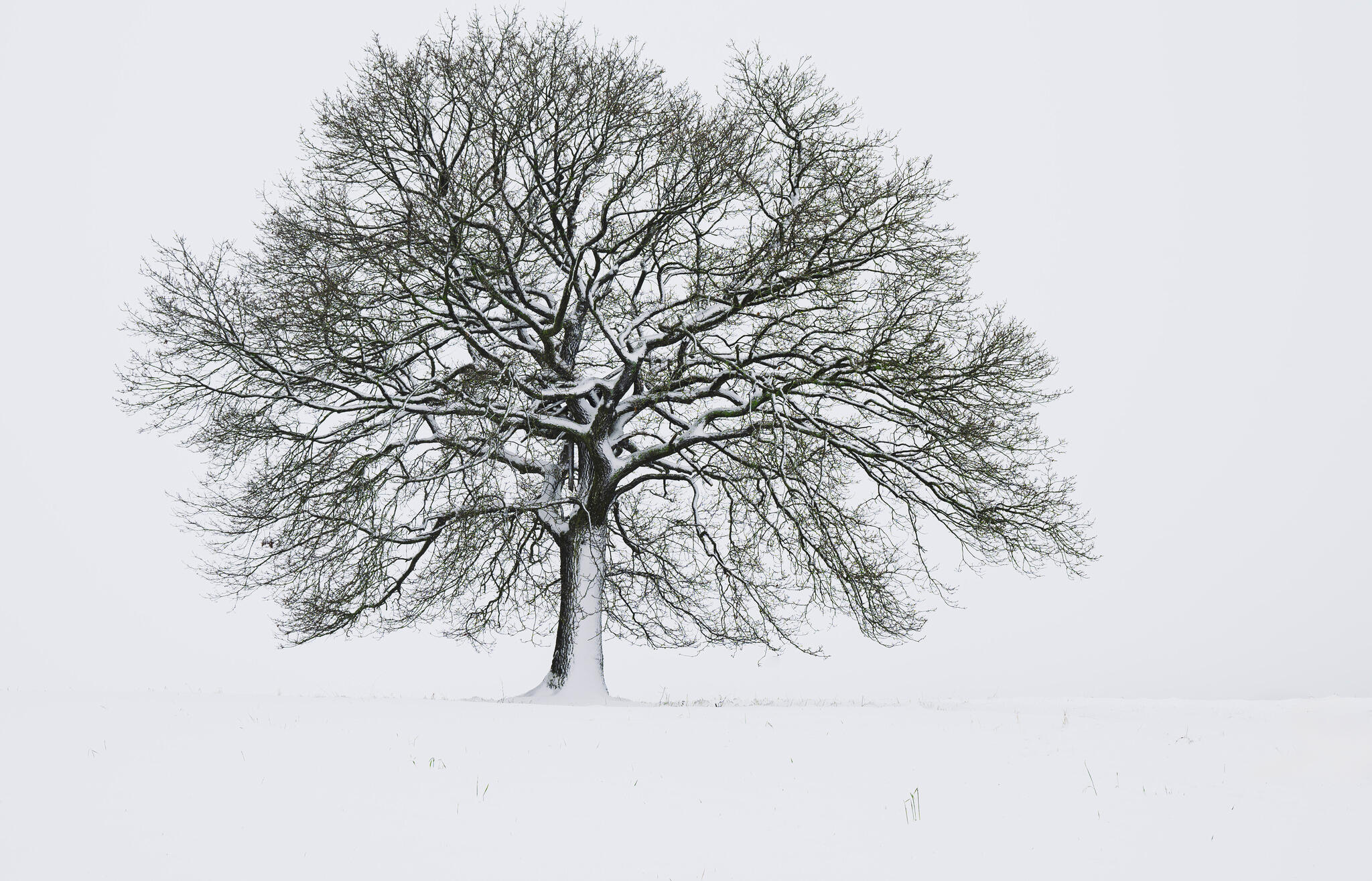 Ceci n'est pas du Noir et Blanc