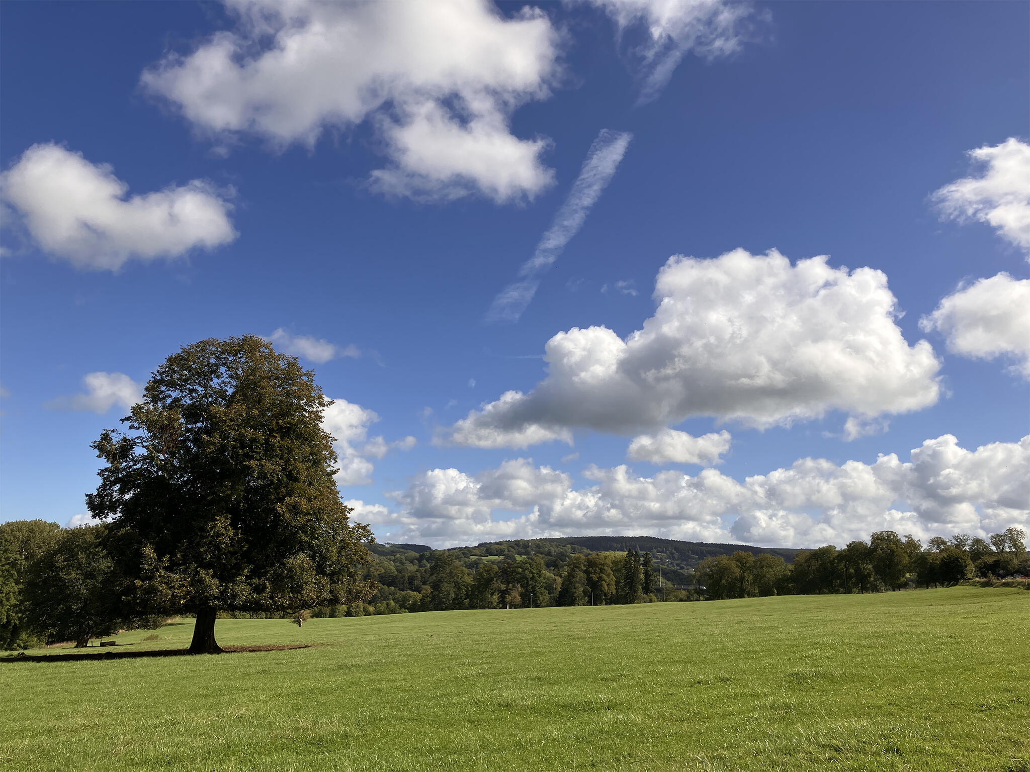 En regardant le temps qui passe