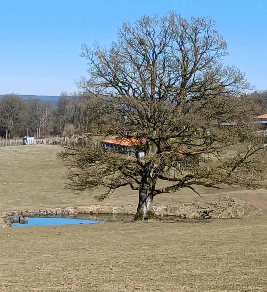 Au bord de l 'eau...
