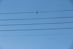 LA # pour partition en SOL oh