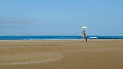 Sur la plage abandonnée, planche de surf et un bon thé...