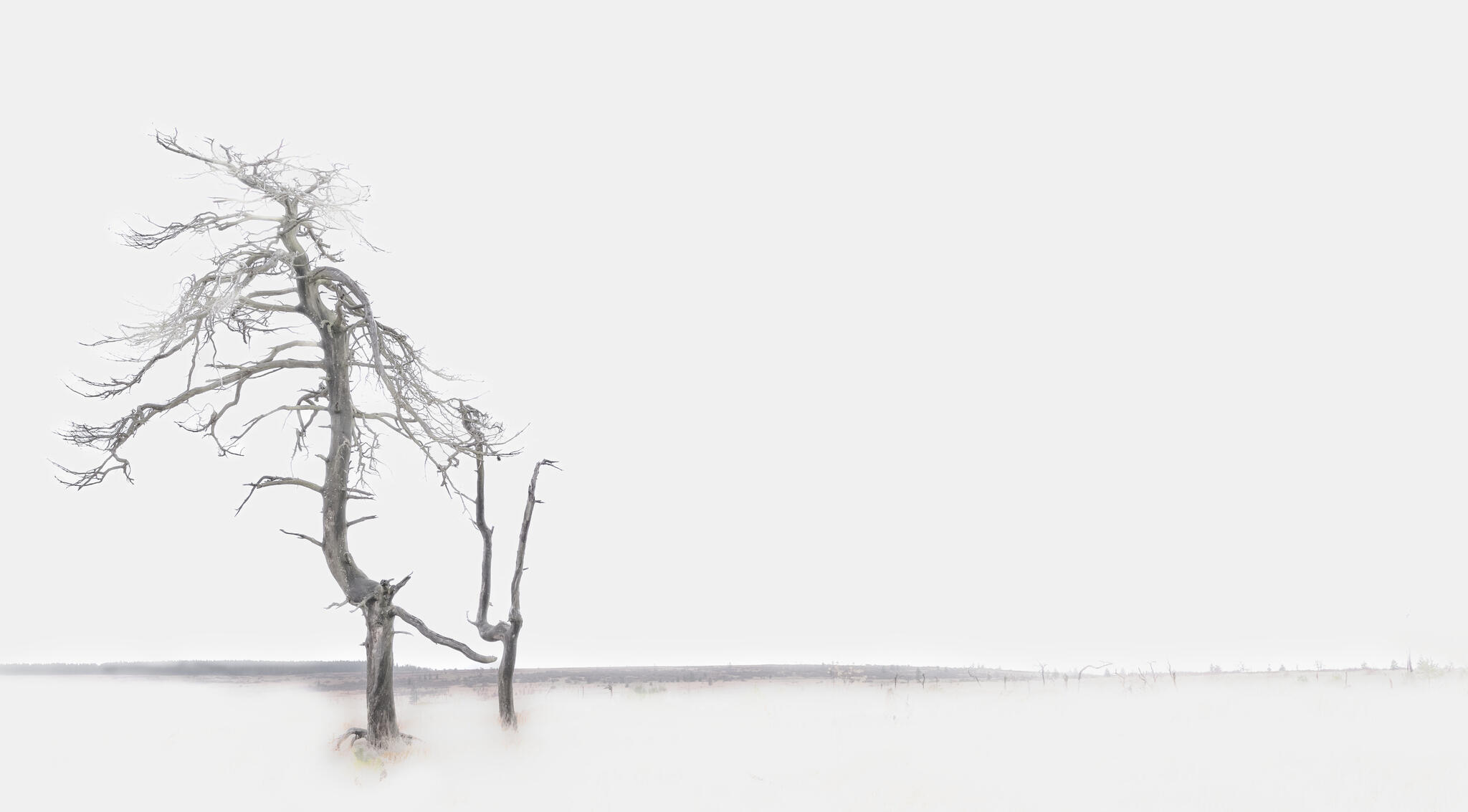 L'année prochaine, je me casse ! [Photo de François Piette]