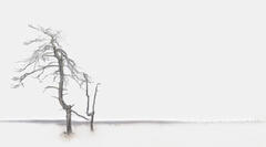 L'année prochaine, je me casse !