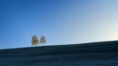 On est deux mais nous sommes seuls.