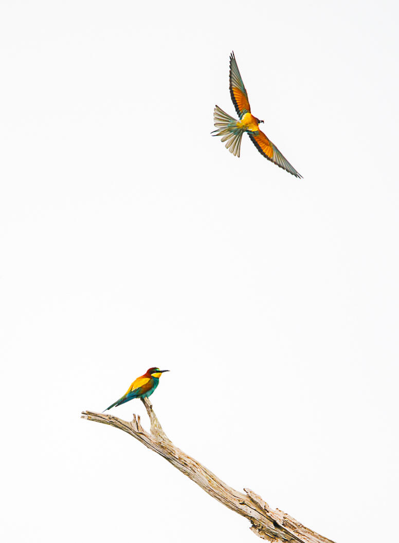 Et n'oublie rien cette fois ci ! [Photo de Fabienne Guntzburger]