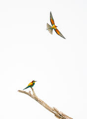 Et n'oublie rien cette fois ci !