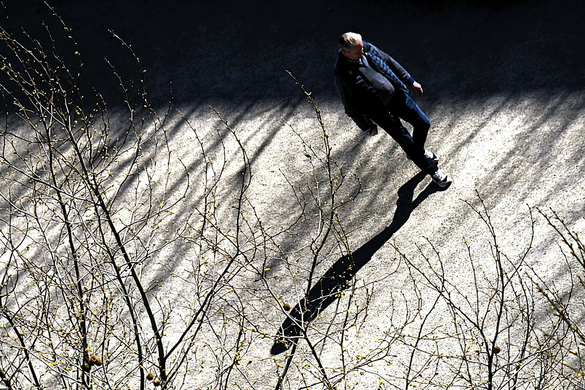 Concentration [Photo de José Creuen]