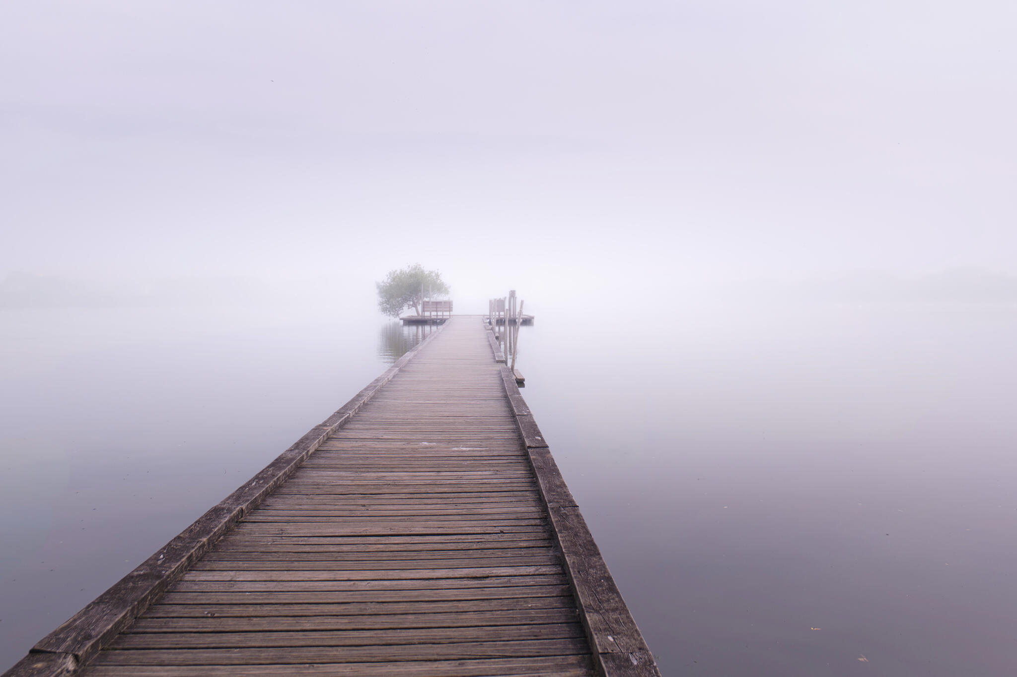 Brume [Photo de Dominique Sch]