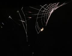 Eteignez ce spot, je travaille au noir