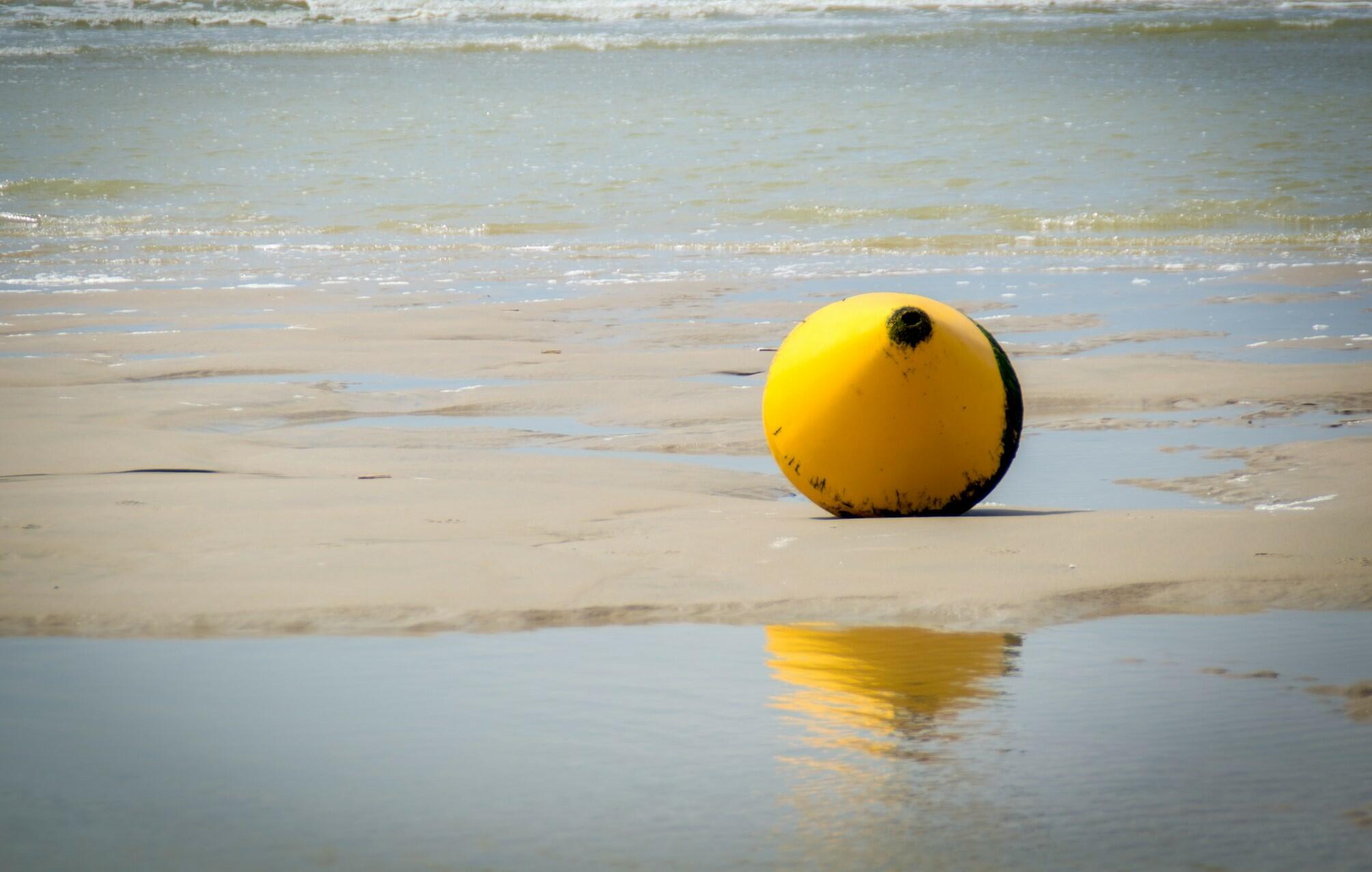 Pause sur le rivage [Photo de Pascale Adam]