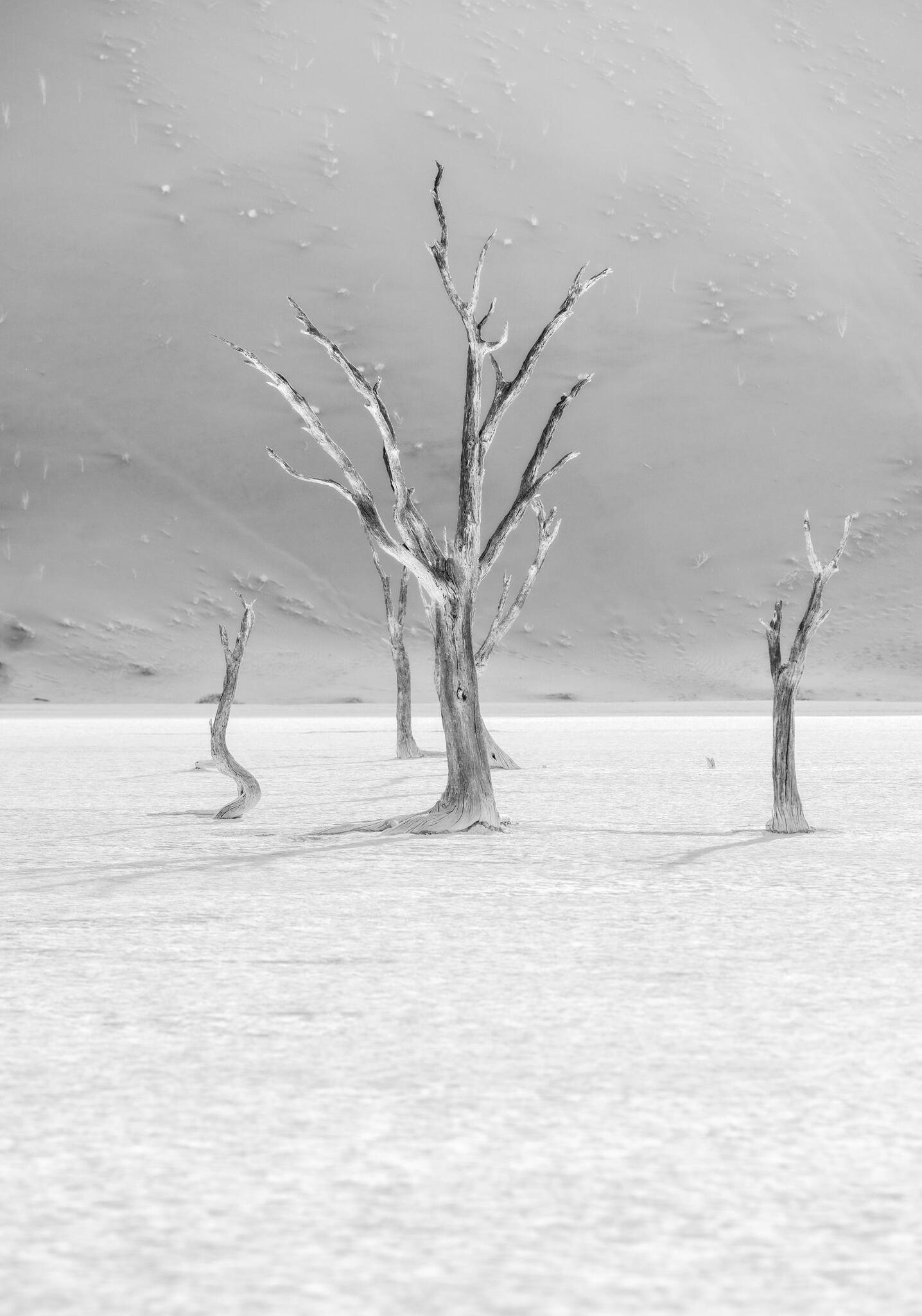 Désertique [Photo de Arlette Van den Heuvel]