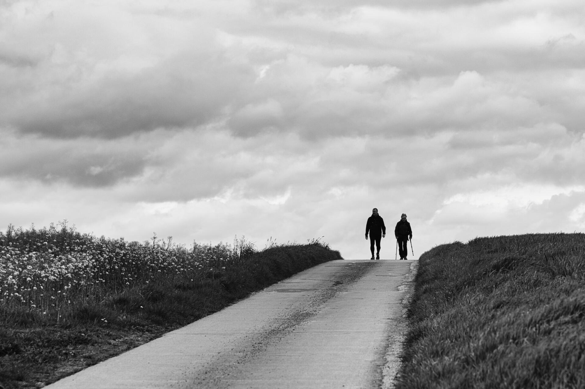 Compagnons d'ombre [Photo de Luc Jacquemin]