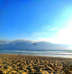 Vol au dessus de l ocean