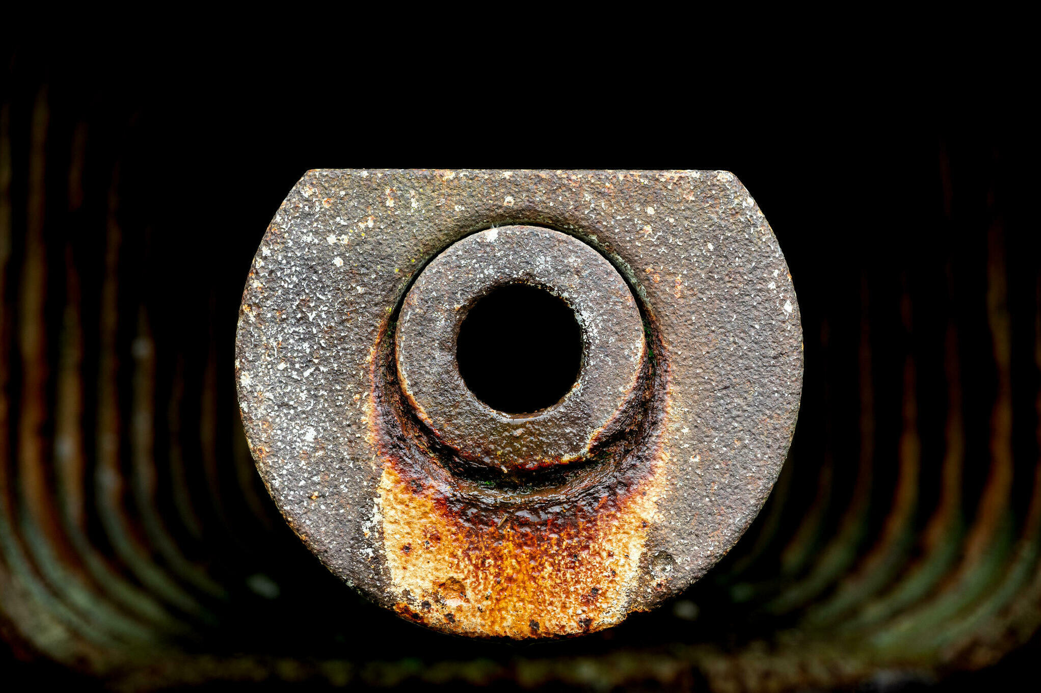 Boum [Photo de Jean-Louis Darchambeau]