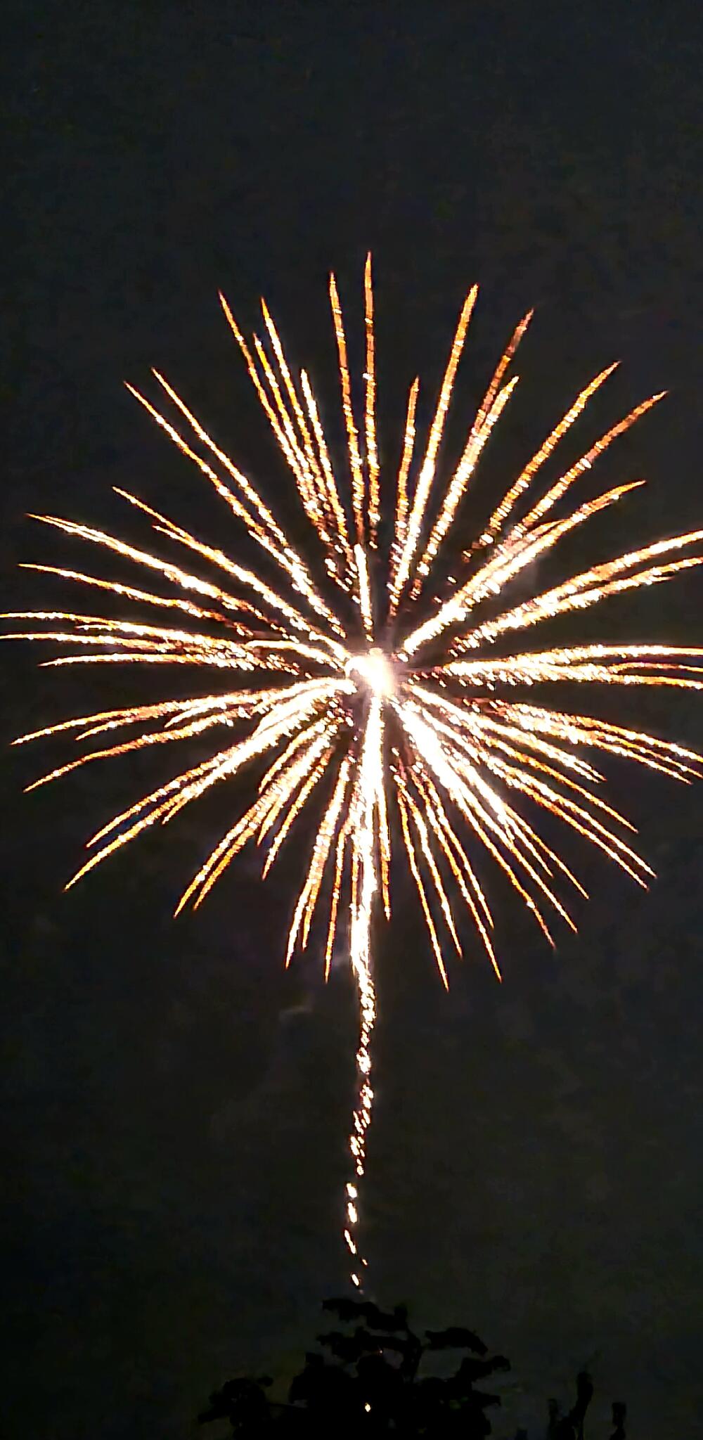 Feu d'artifice [Photo de Marc Mucha]