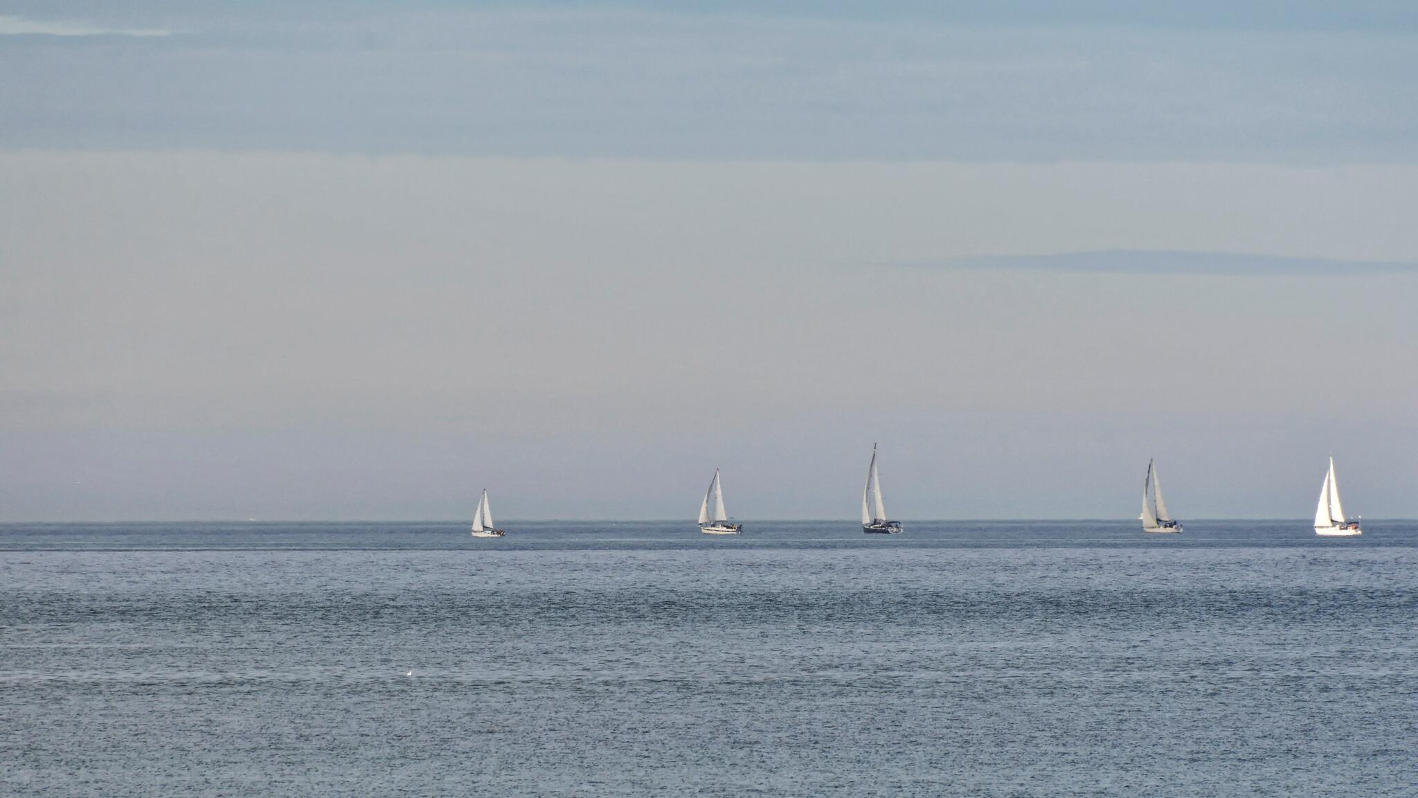 À voile... [Photo de Luc Ipher]