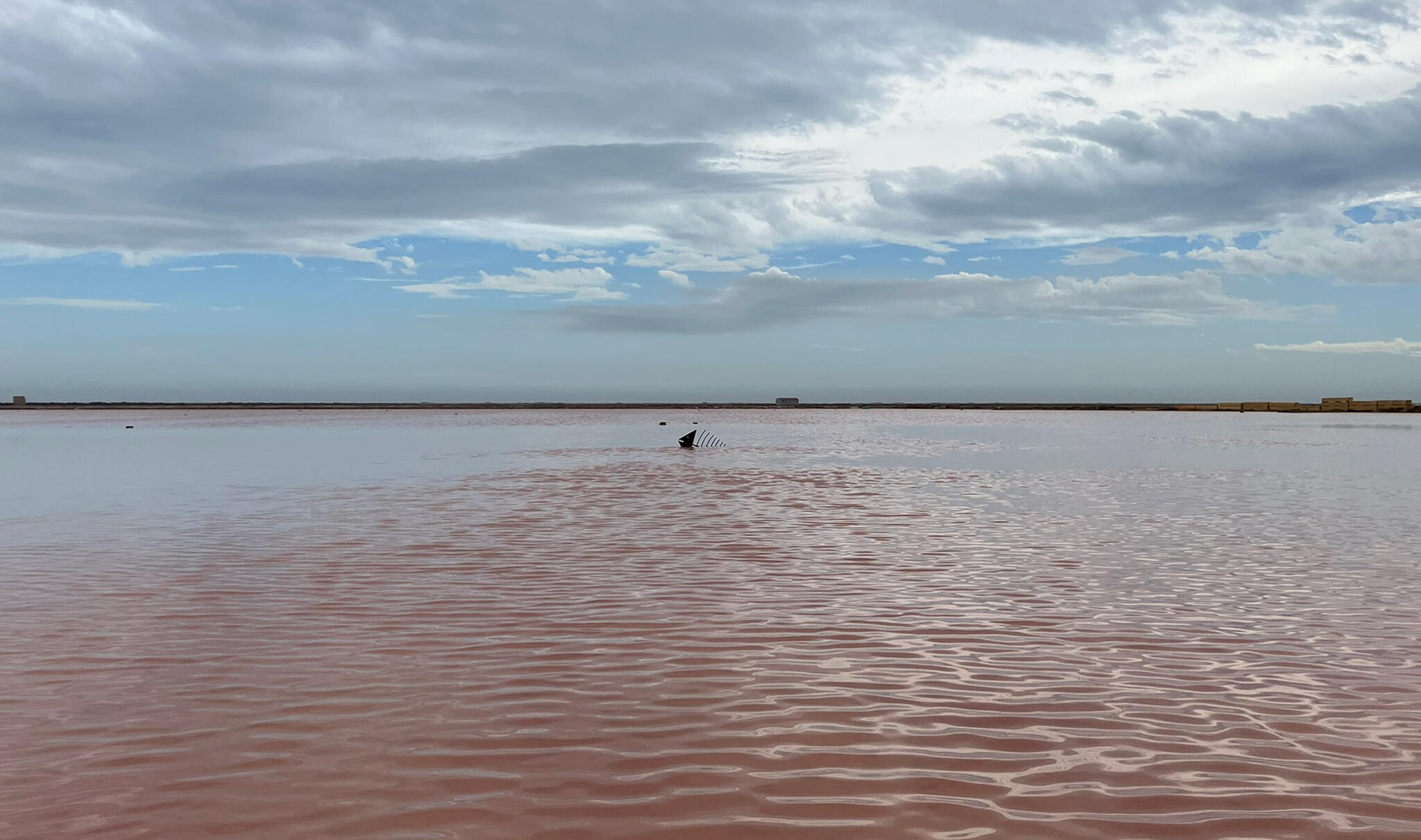 Une arrête dans le bouillon [Photo de Caroline Marchal]