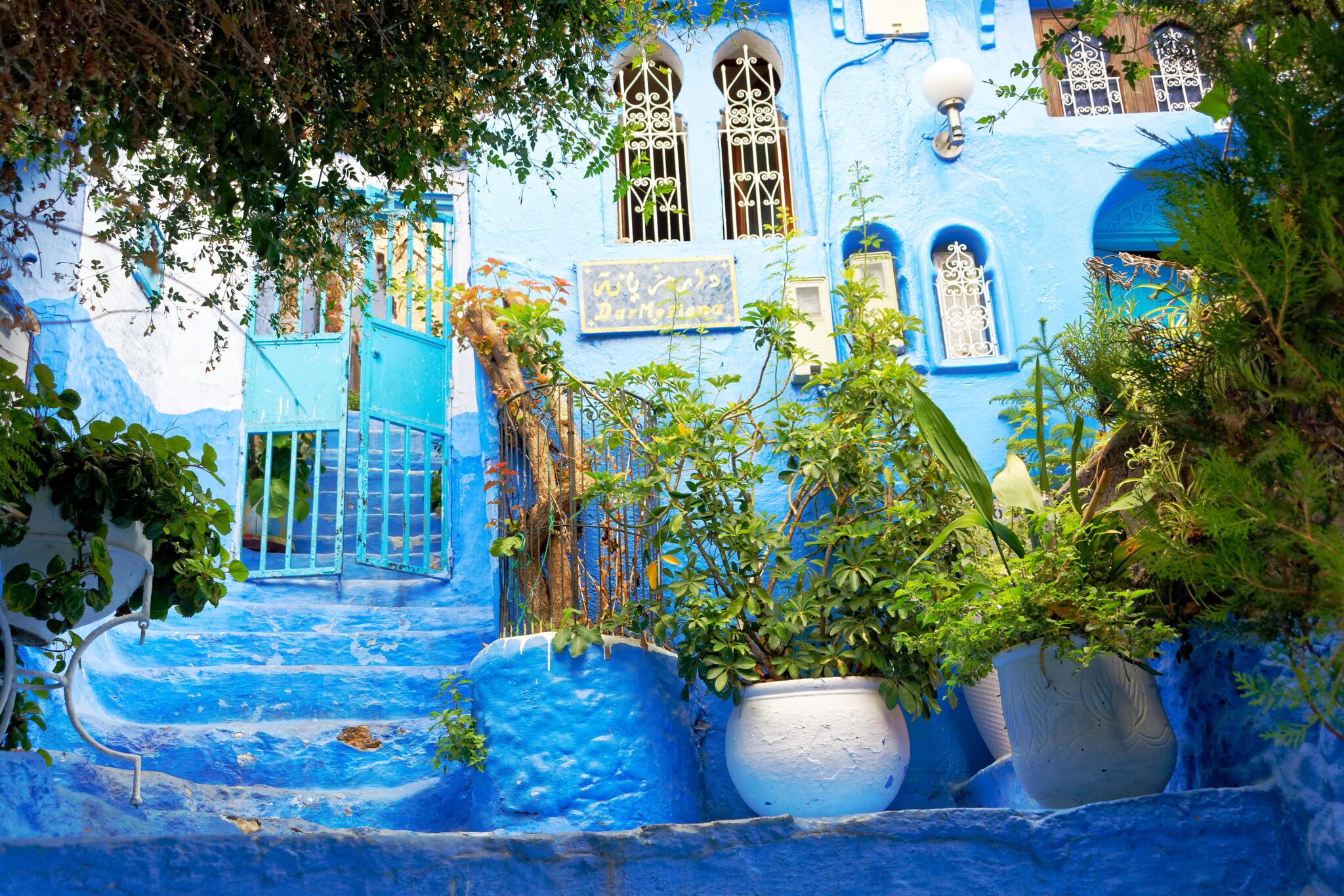 Du vert dans le bleu ( Chefchaouen, Maroc) [Photo de Gérard Bronnec]