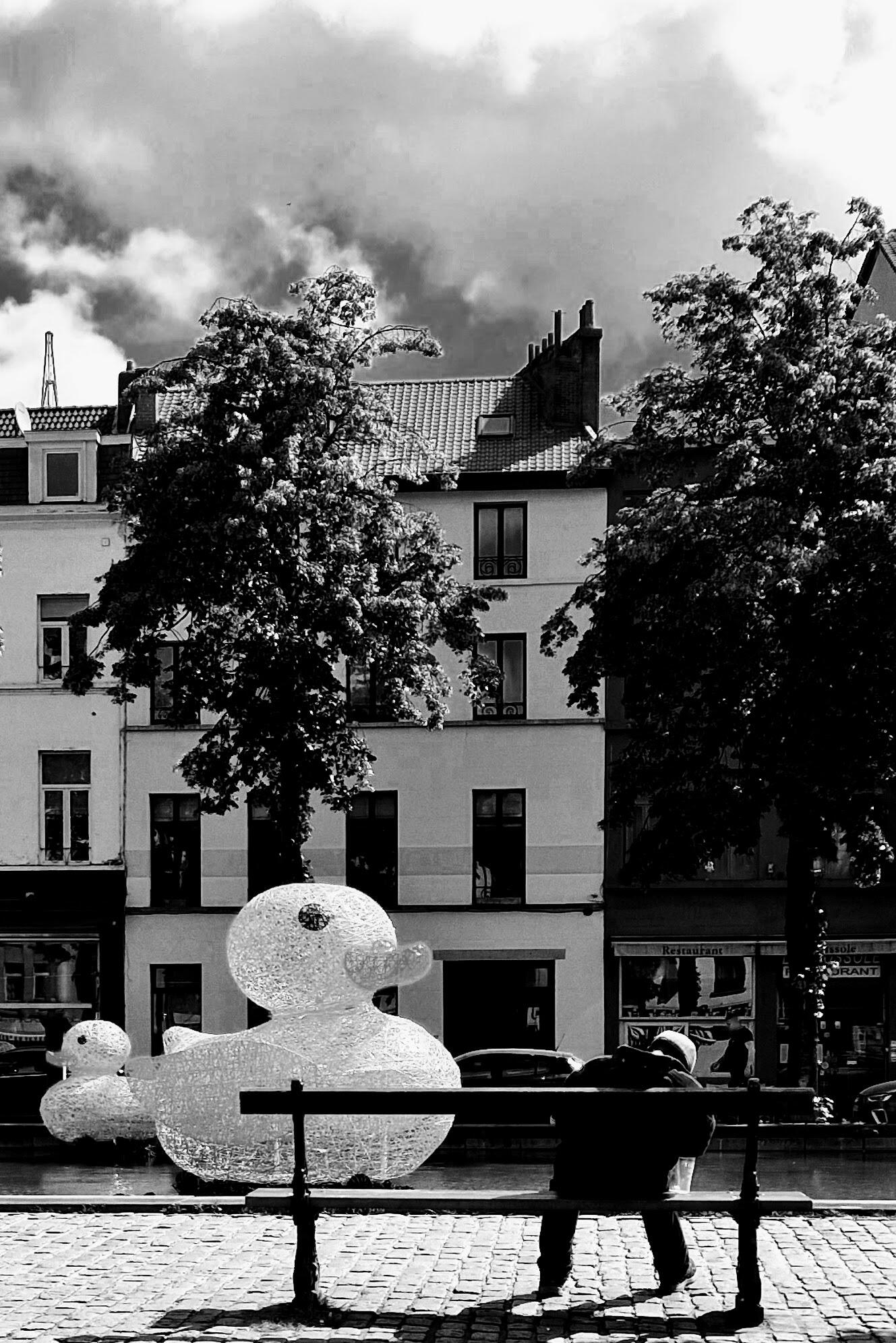 Rêve ou réalité [Photo de Claire Libouton]