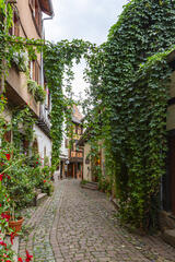 dans les rues d'Alsace