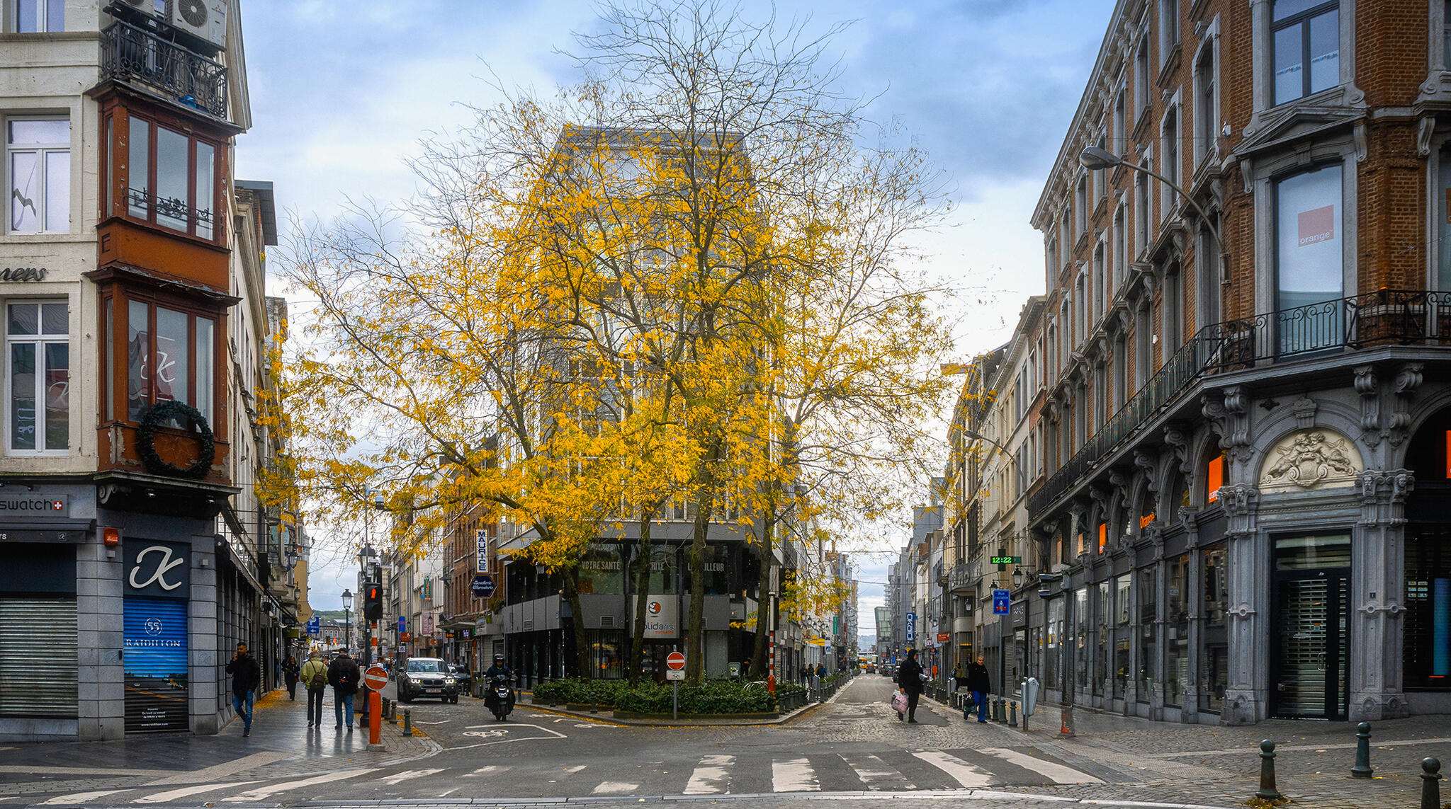 L'arbre aux feuilles d'or [Photo de André Defaweux]