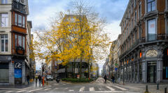 L'arbre aux feuilles d'or