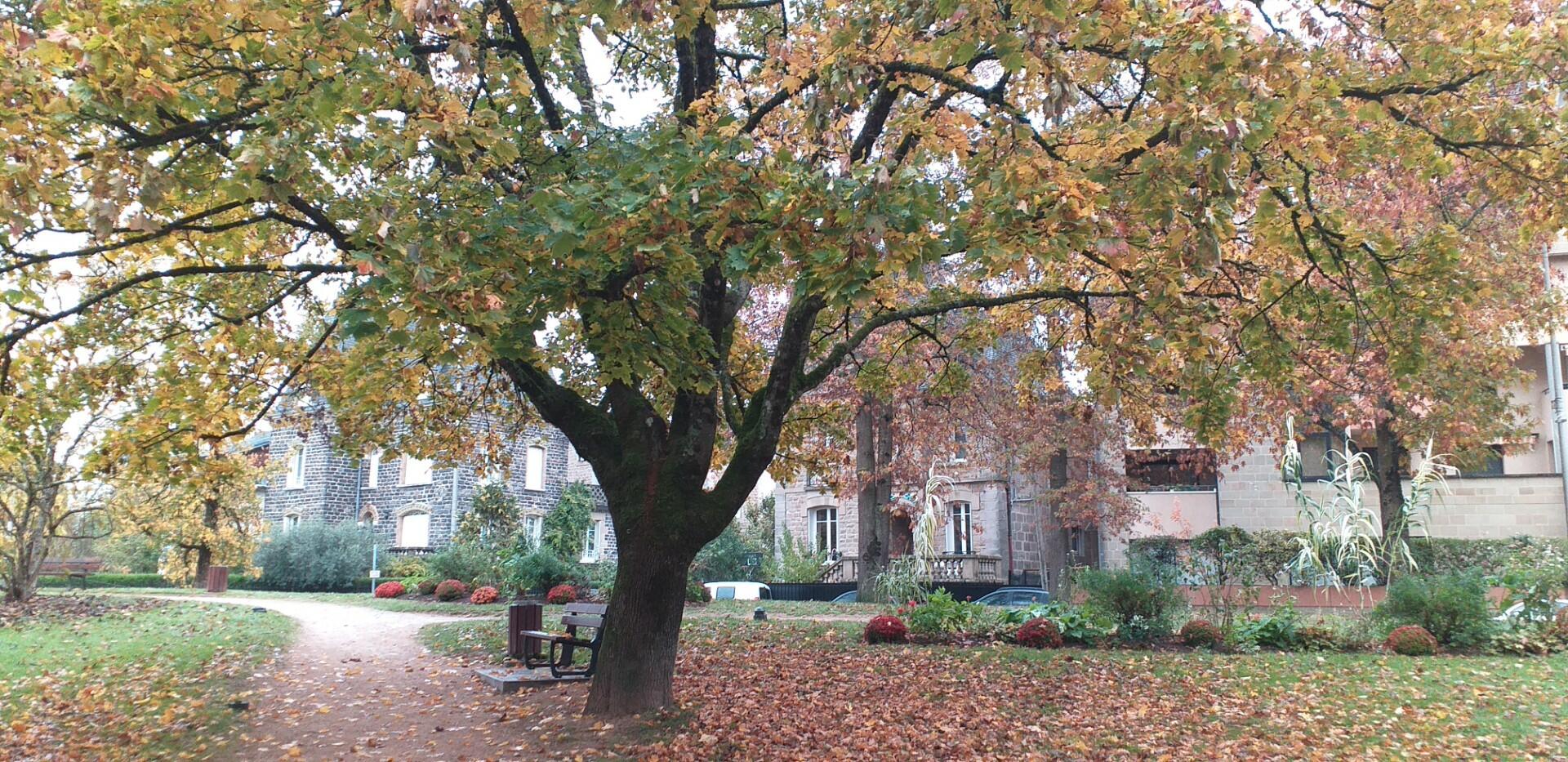 Sans titre [Photo de Lucie Del Mazo]