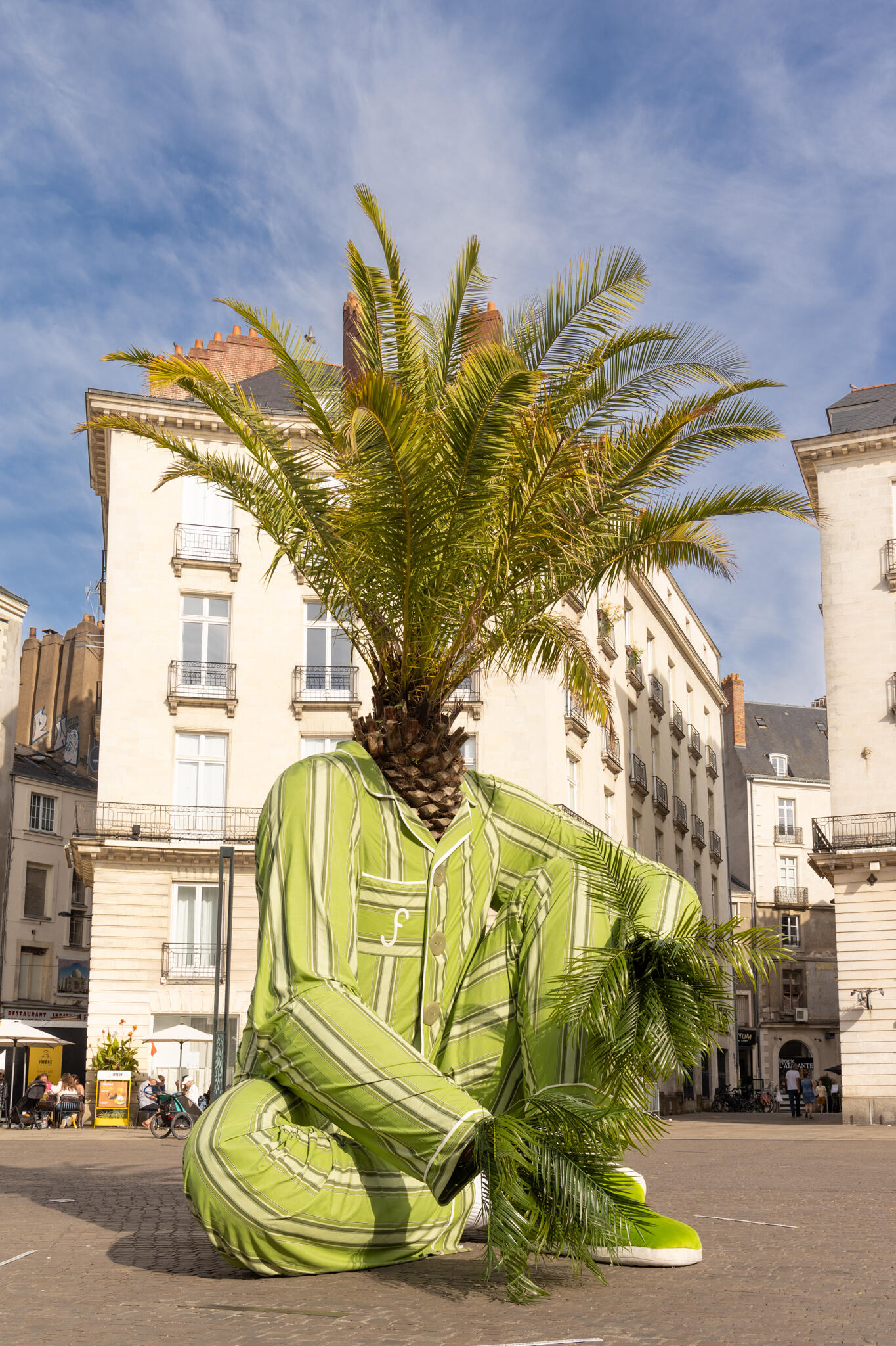 Un palmier pyjama nantais [Photo de Patricia Le Signor]