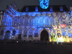 Mons en lumi&egrave;re
