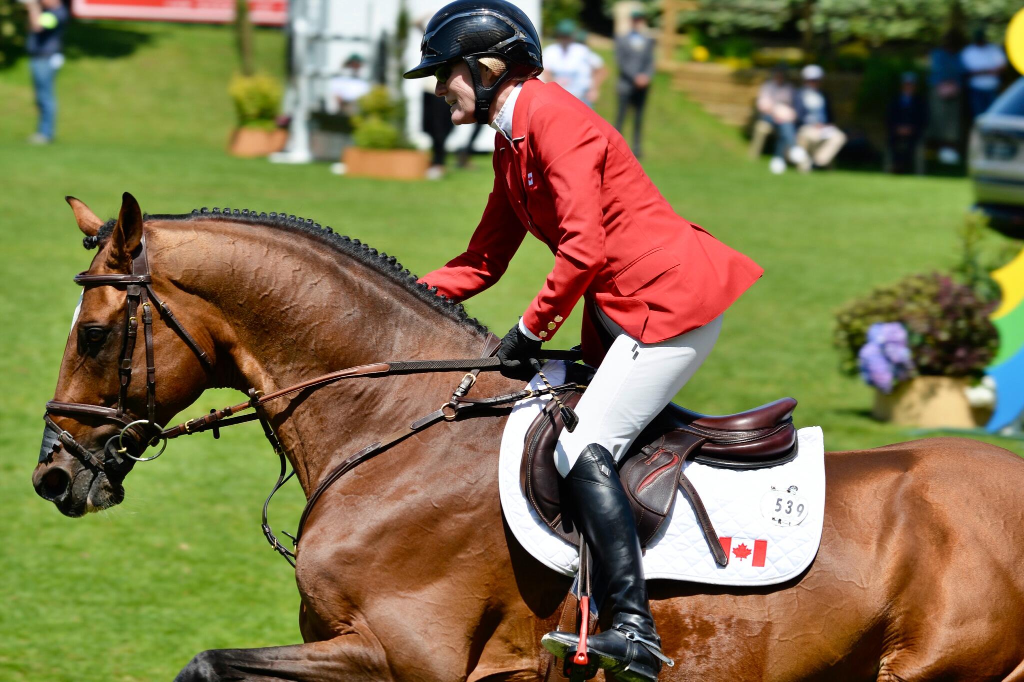 La paire cavalier / cheval [Photo de Valérie Simonis]