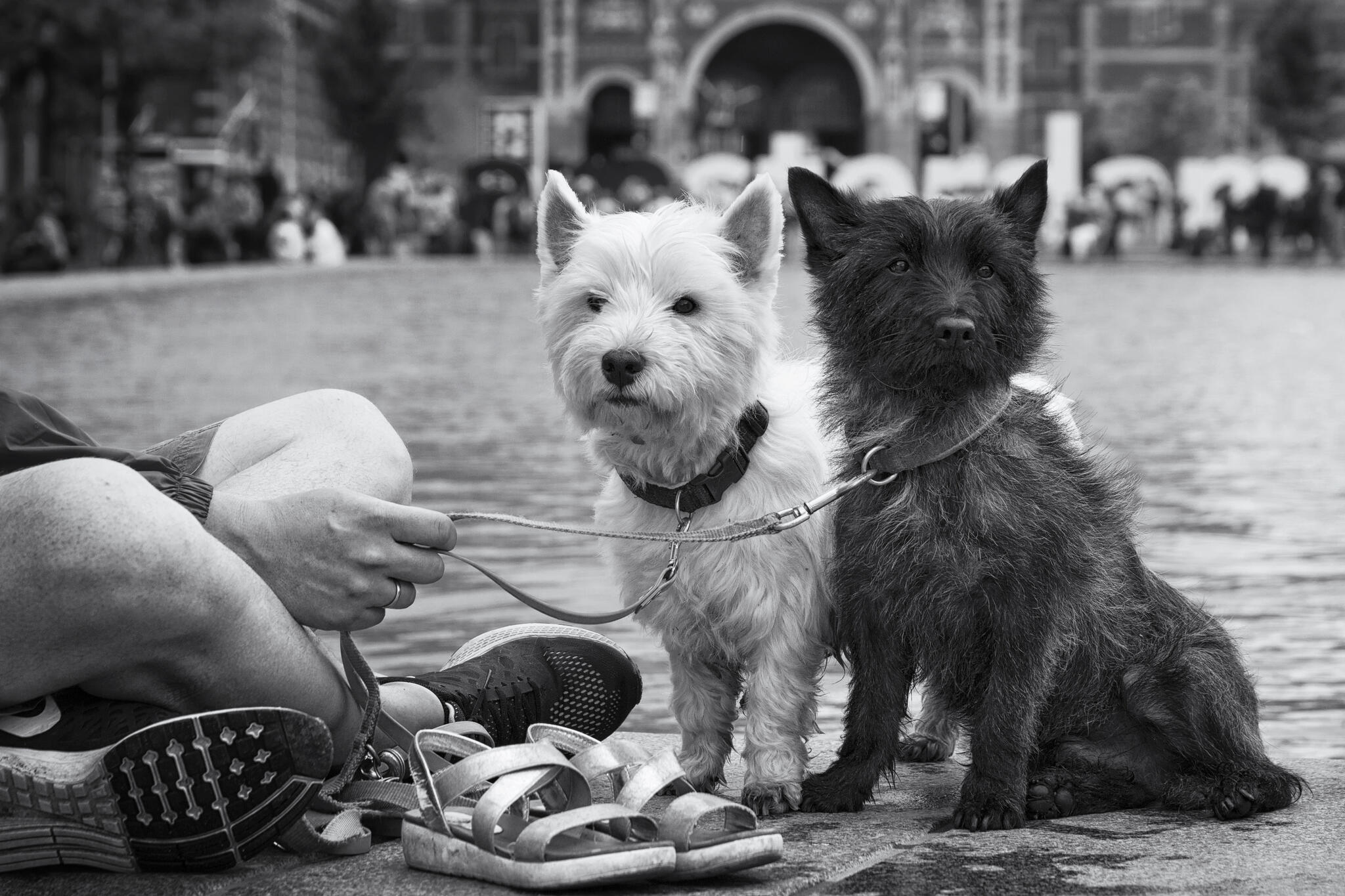 Sans titre [Photo de Tanie Bettens]