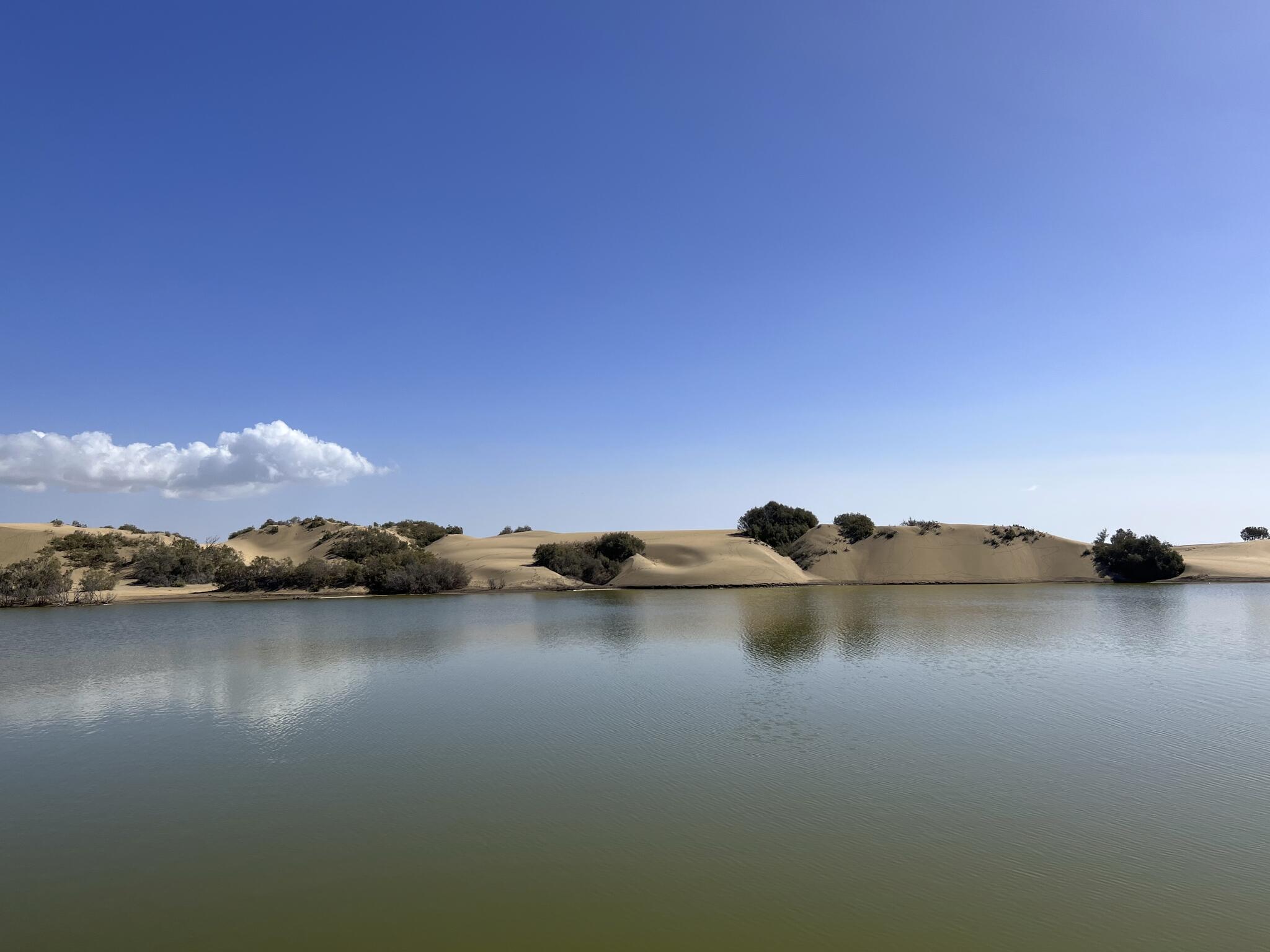 Douceur de vivre à Gran Canaria [Photo de Sophie Thiry]