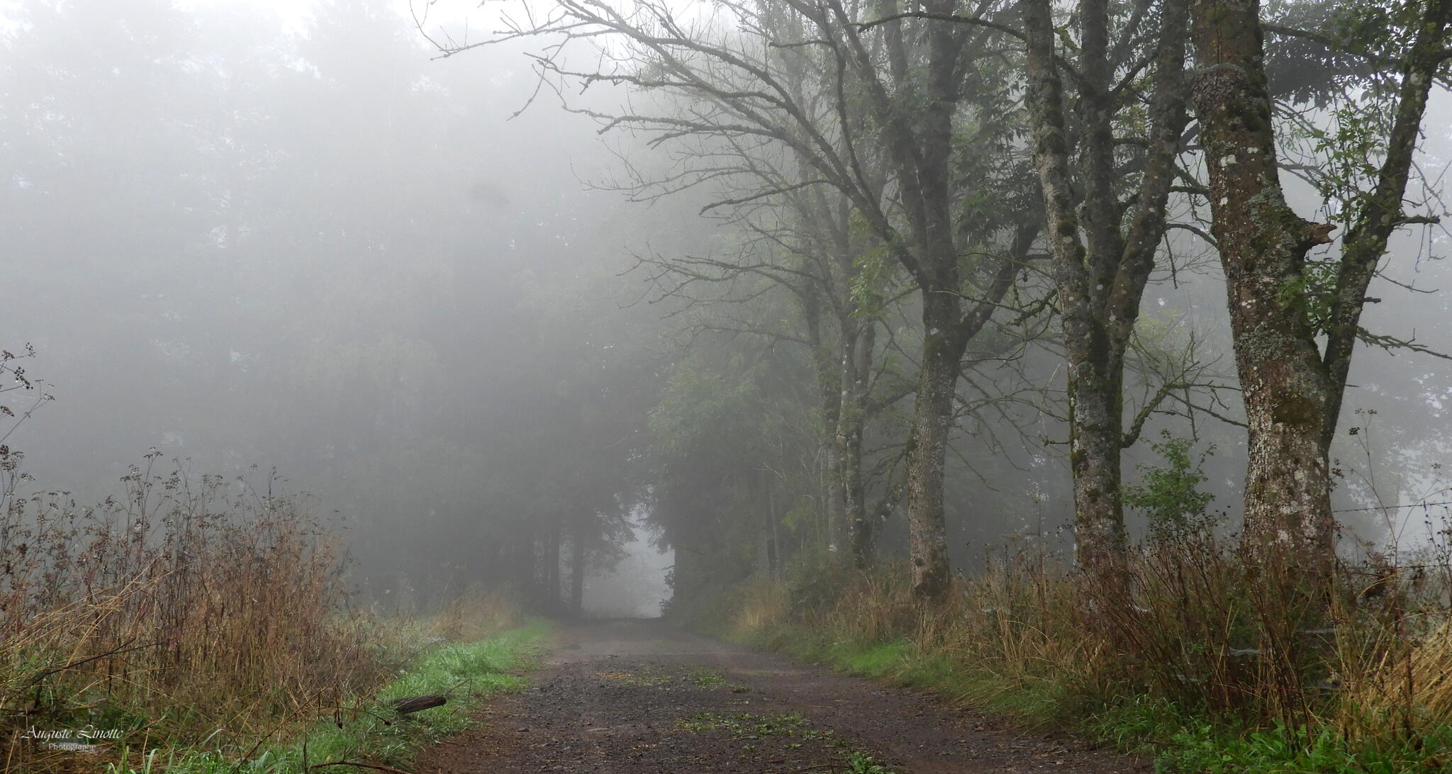 Brouillard sur Lantroul [Photo de Auguste Linotte]